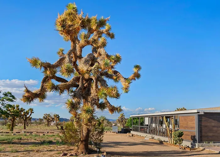 Joshua Tree Sunrises And Sunsets, Hot Tub, Star Gazing, Pet Friendly