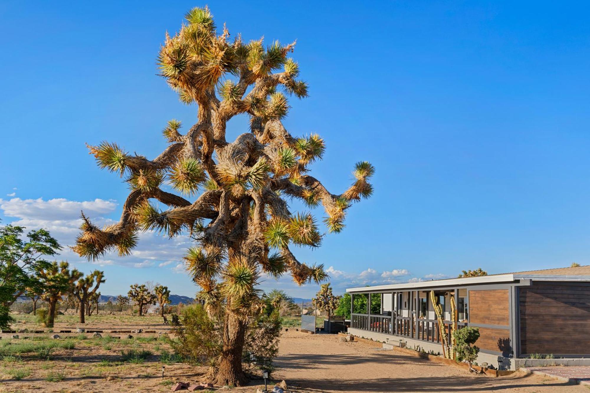 Joshua Tree Sunrises And Sunsets, Hot Tub, Star Gazing, Pet Friendly Holiday home *