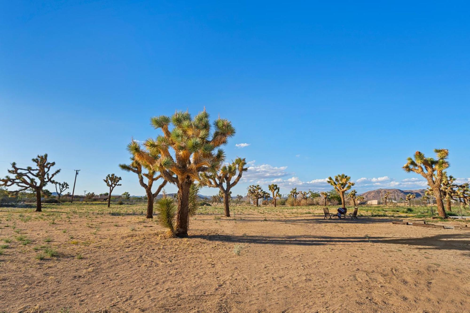 Holiday home Joshua Tree Sunrises And Sunsets, Hot Tub, Star Gazing, Pet Friendly