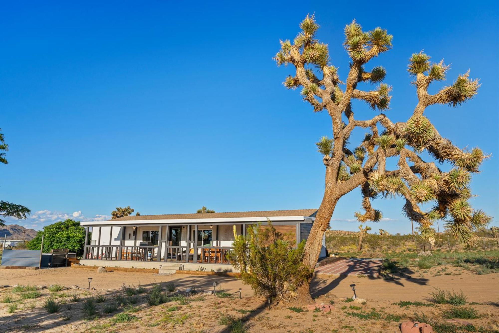 Joshua Tree Sunrises And Sunsets, Hot Tub, Star Gazing, Pet Friendly *